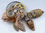 SOLD  "Fishing Gear"
